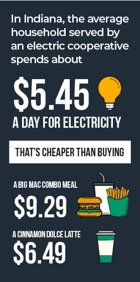 The Value of Electricity