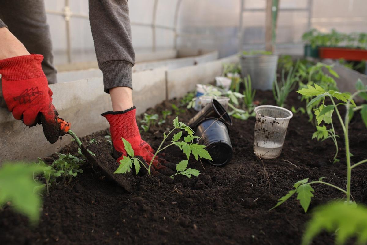 Gardening