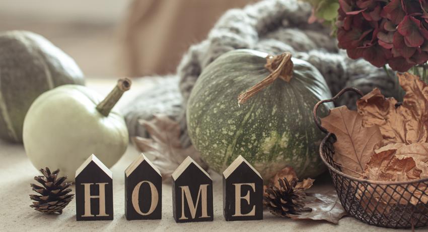 Autumn Energy Efficiency: Simple Home Maintenance for the Cozy Season
