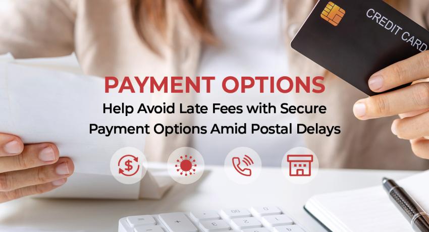 Payment Options