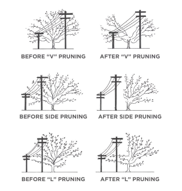 before-and-after-trimming-diagram
