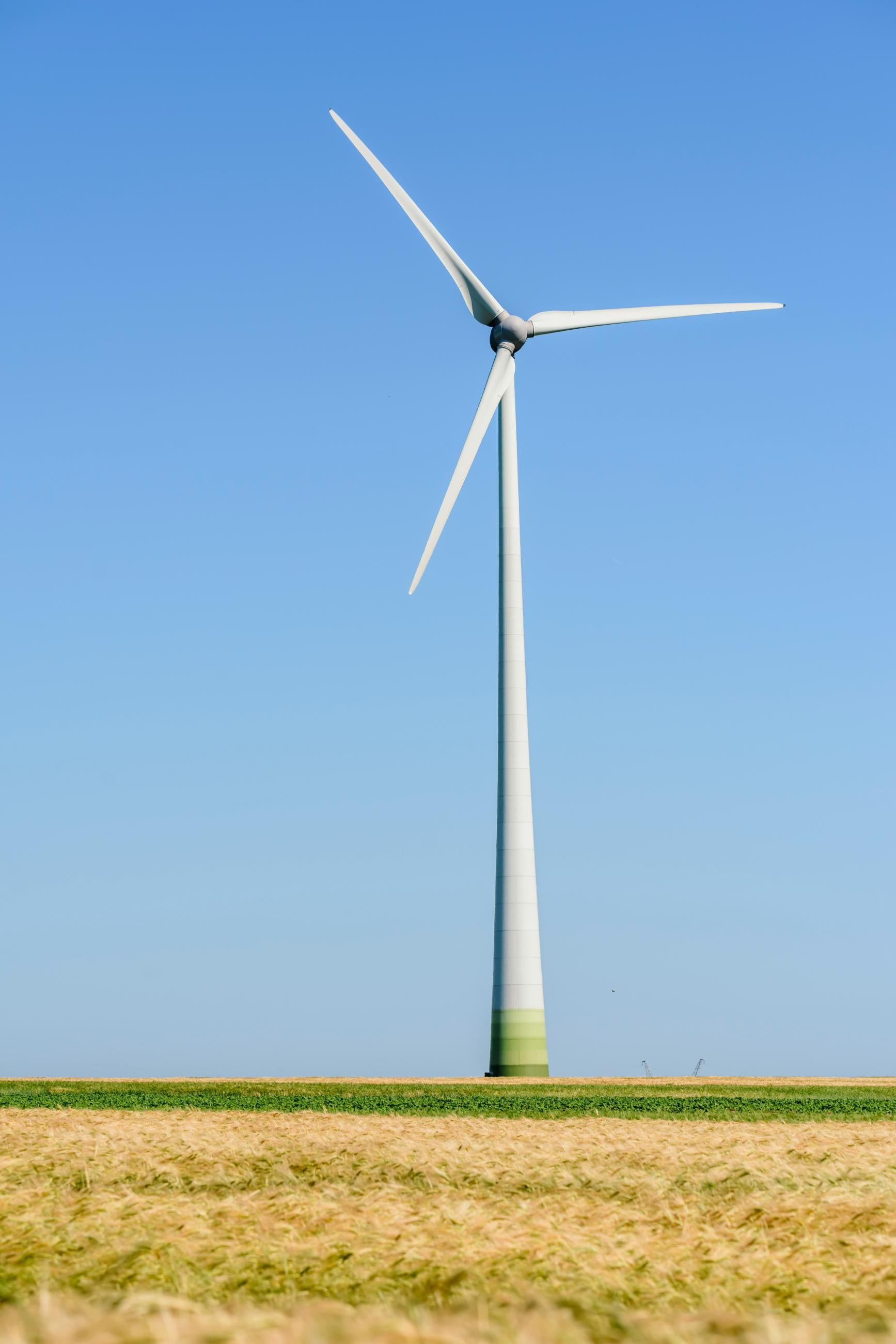 wind