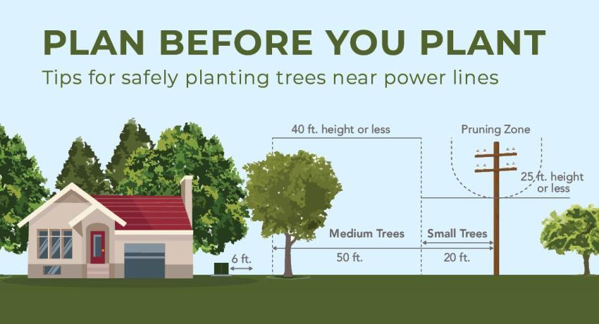 plan_before_you_plant_3
