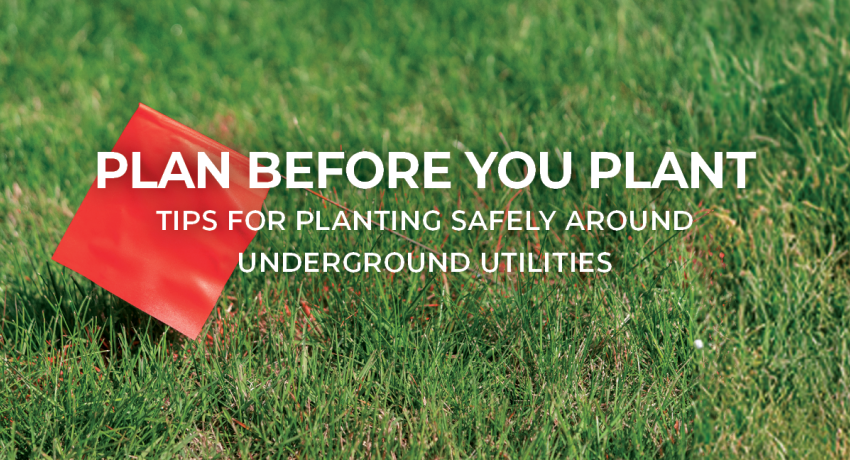 planbeforeyouplant