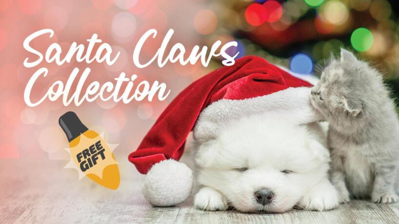santaclaws_focal
