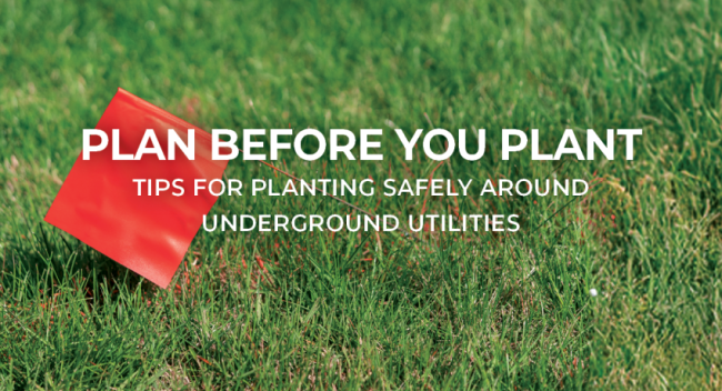 planbeforeyouplant