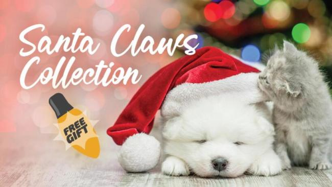santaclaws_focal