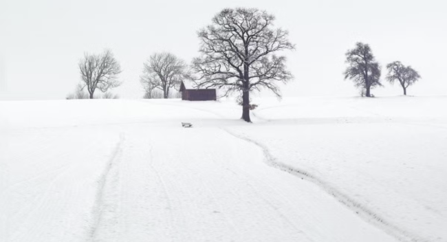winter stroms