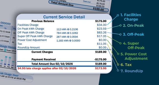 Understanding Your Bill