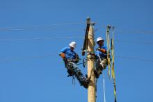 Lineman Rodeo