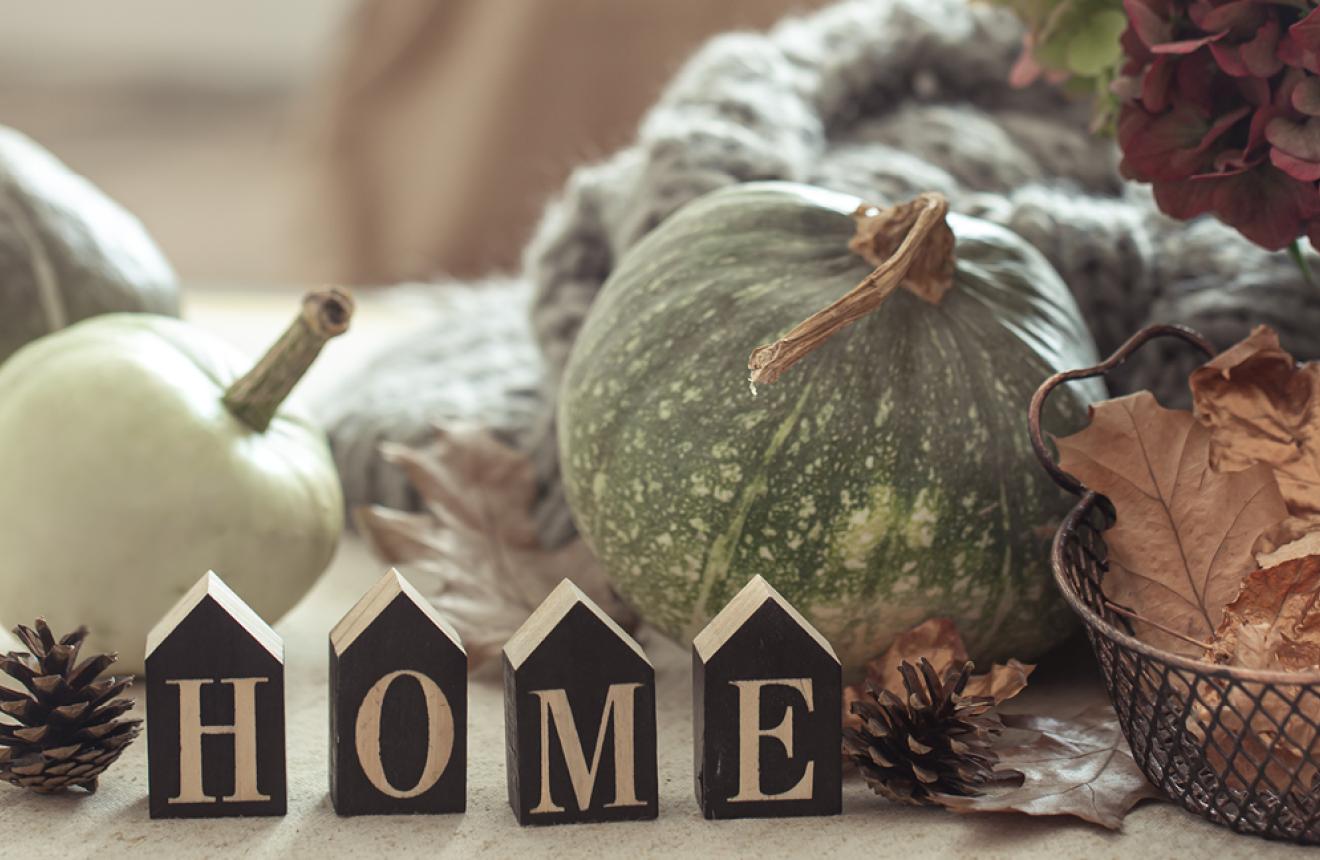Autumn Energy Efficiency: Simple Home Maintenance for the Cozy Season