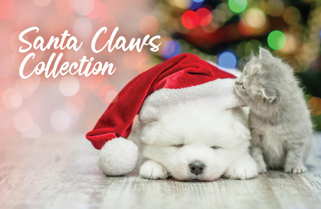 Santa Claws Collection