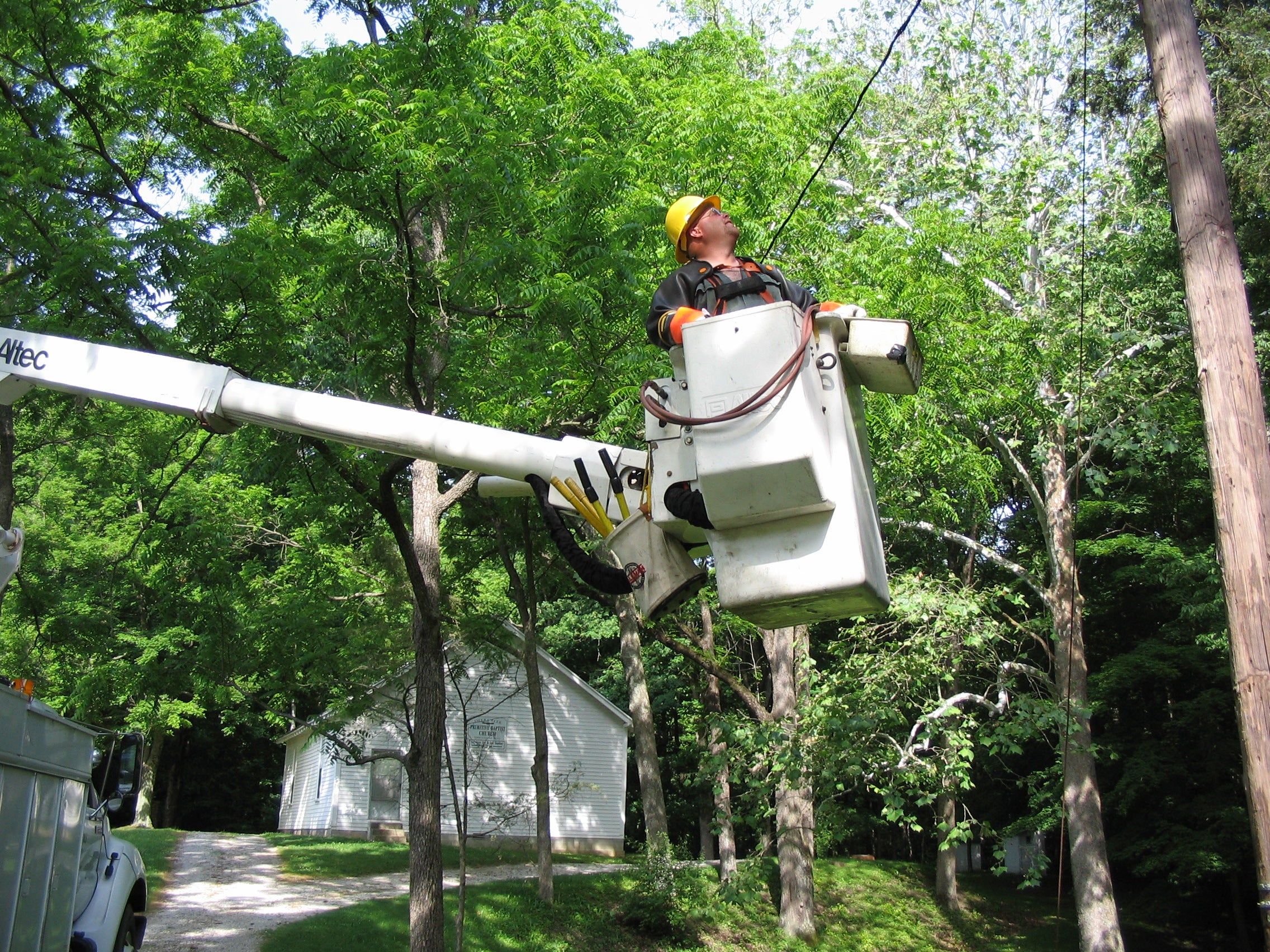 The Importance of Tree Trimming & Your Service Hendricks Power